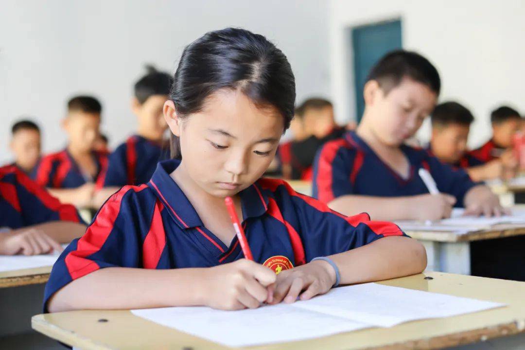 转折点！浙江队遗憾出局；法国杯赛前攻防权衡；态度坚定；纪律约束更严格的简单介绍